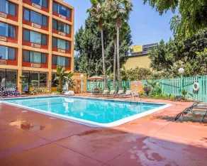 Quality Inn & Suites Montebello - Los Angeles - Piscina