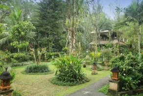 Alam Indah Ubud - Udsigt fra værelset
