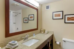 Comfort Inn Blacksburg University Area - Salle de bain