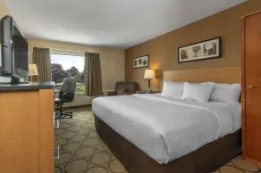 Comfort Inn - Chambre
