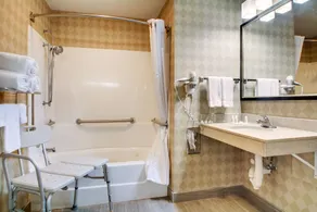 Galesburg Inn and Suites - Bad