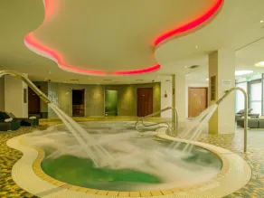 Hilton London Heathrow Airport Terminal 5 - Pool