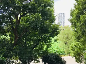 APA Hotel Keisei Ueno Ekimae - Vue de la chambre