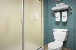 Homewood Suites by Hilton Irving - DFW Airport - Bathroom