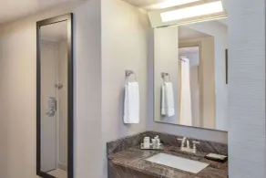 Wyndham Garden Elk Grove Village - O'Hare - Badrum