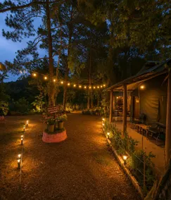 Pine Wood Nirvana Jungle Resorts - Jardines del alojamiento