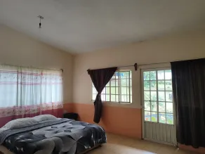 EL Jardin De Los Anturios - Camera