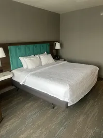 Hampton Inn by Hilton Kingston - Værelse