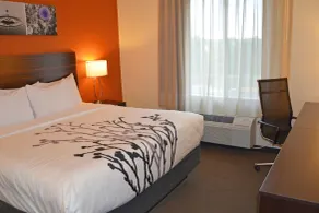 Sleep Inn & Suites Oregon - Madison - Rom