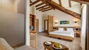 Ana Hotels Sport Poiana Brasov - Room