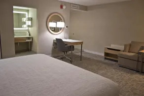 Hampton Inn & Suites Denver-Speer Boulevard - Room