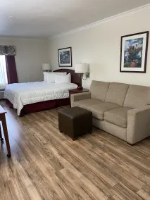 Homestead Lodge Apart Hotel - Chambre