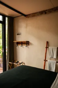 Bufo Alvarius - Vue de la chambre