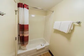 Red Roof Inn PLUS Raleigh Downtown NCSU Conv Center - Bathroom