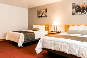White Buffalo Hotel - Chambre