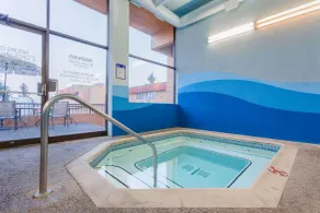Ramada by Wyndham Coquitlam - Piscine