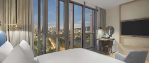 Hilton Garden Inn Tbilisi Riverview - Room
