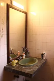 Savrupson Heritage Home - Salle de bain