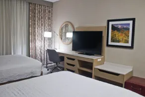 Hampton Inn & Suites Denver-Speer Boulevard - Room