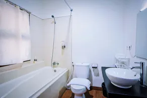 Jambuluwuk Heritage Menteng Suites - Bathroom