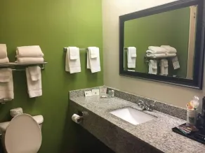 Garner Hotel Del Valle - Austin Southeast by IHG - Casa de banho