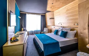 Hotel Arte SPA & Park - Room