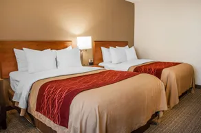 Comfort Inn Dickinson - Room