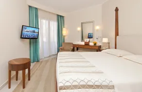 Alexander The Great Beach Hotel - Habitación