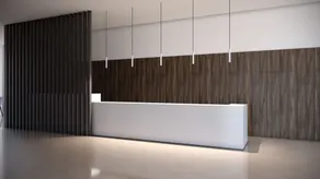 Eleana Hotel - Reception