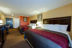 Quality Inn & Suites Bell Gardens-Los Angeles - Chambre