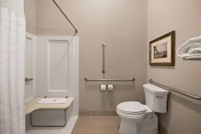 Comfort Suites Hudson I-94 - Room
