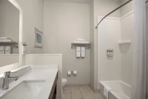 Holiday Inn Express & Suites - Dripping Springs - Austin Area by IHG - Chambre