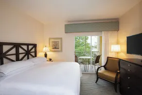 Sheraton Vistana Resort Villas, Lake Buena Vista Orlando - Chambre