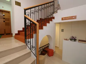 Garni Hotel Vila Drina - Recepción