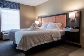 Hampton Inn Hadley-Amherst Area - Chambre