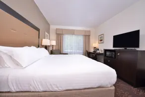 Holiday Inn Express Hotel & Suites Lancaster-Lititz by IHG - Chambre
