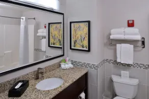Holiday Inn Express Hotel & Suites Milwaukee-New Berlin by IHG - Salle de bain