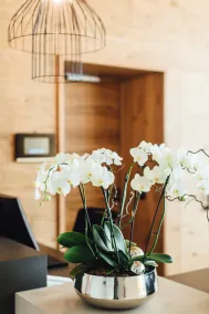 Hotel Edita - Reception