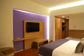Hotel México Plaza Querétaro - Room
