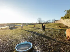 Granary - Miscelánea