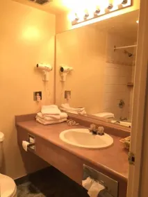 Tropicana Suite Hotel - Bathroom