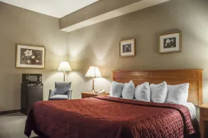 Comfort Inn Lundy's Lane - Chambre