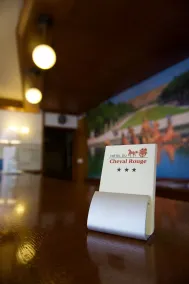Hôtel du Cheval Rouge - Réception