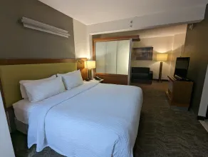 SpringHill Suites by Marriott Athens West - Chambre