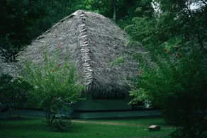 Marari Beach Resort Alleppey - A CGH Earth Experience - Chambre