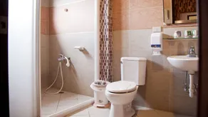 Spring Ground Resort - Baño