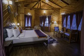 The Nature's Green Resort, Bhimtal, Nainital - Room