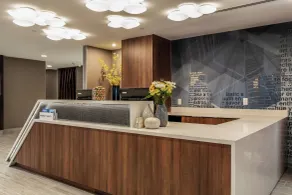 SpringHill Suites by Marriott Austin The Domain Area - Reception