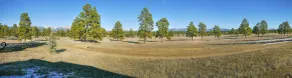 Elktrace Bed and Breakfast - Vue de la chambre