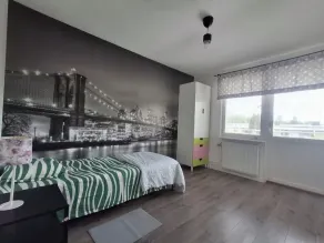 Fully Renovated 4BR Home with Modern Kitchen - Rom